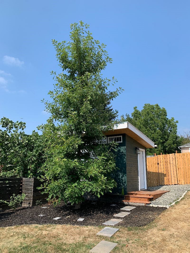 Detached Backyard Studio (great for yoga studio or use as an office)