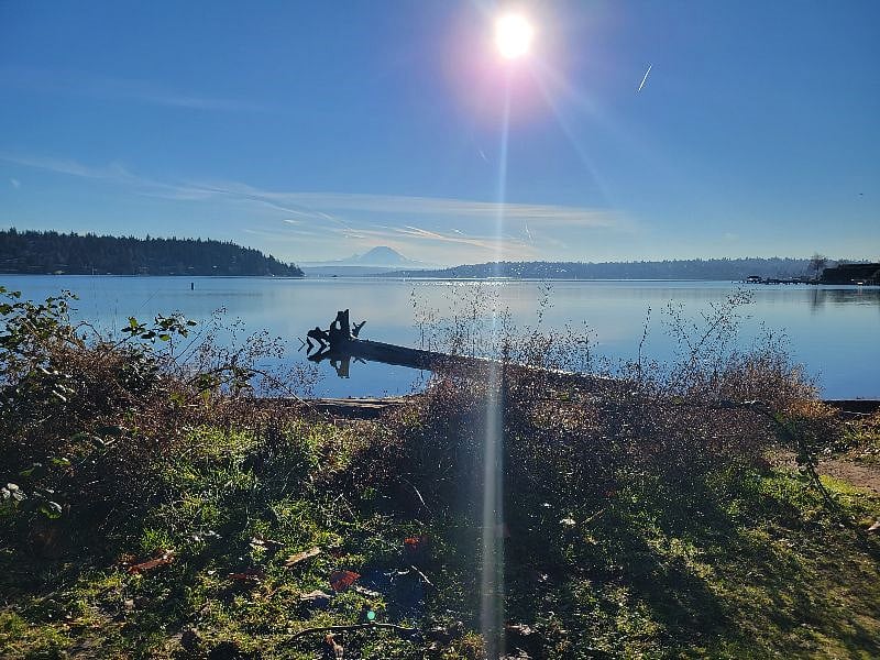 Seward Park (2.5 miles away)