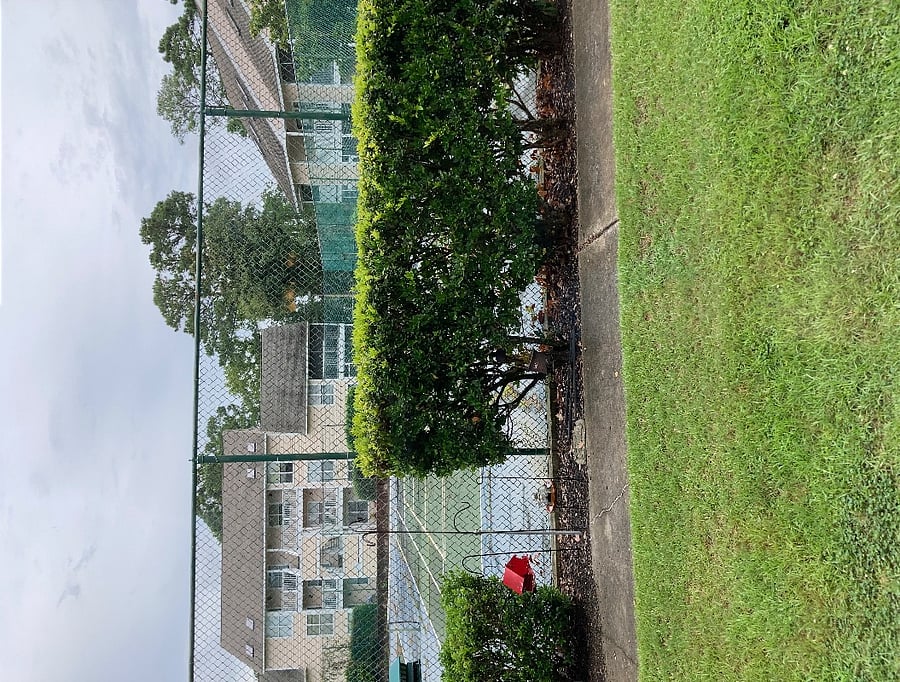 Furnished Finder property 394643_1 photo 12