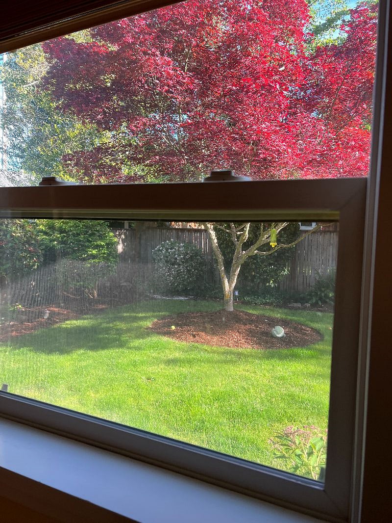 Furnished Finder property 394656_1 photo 16