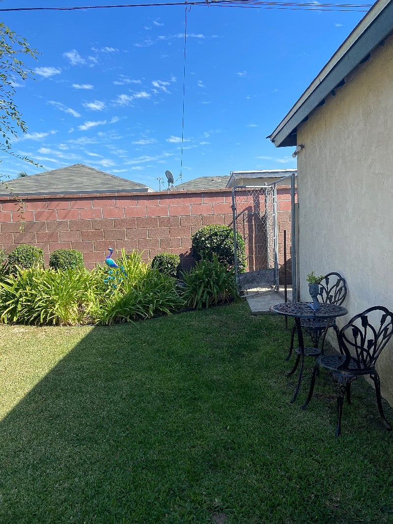 Backyard