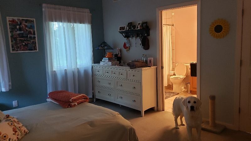 Furnished Finder property 395165_1 photo 8