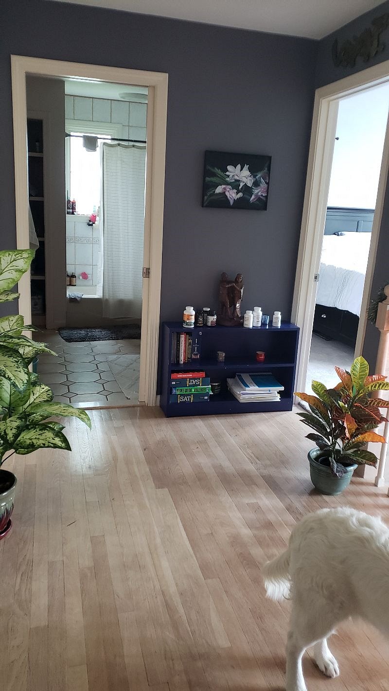 Furnished Finder property 395165_1 photo 14