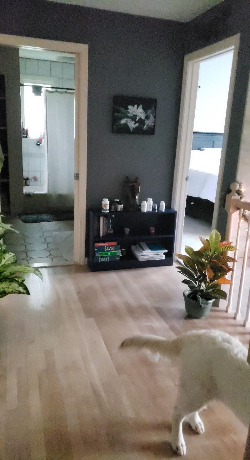 Furnished Finder property 395165_1 photo 15