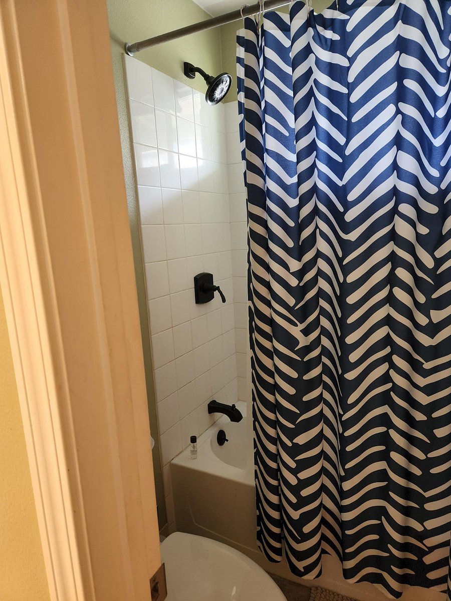 Furnished Finder property 395255_1 photo 6