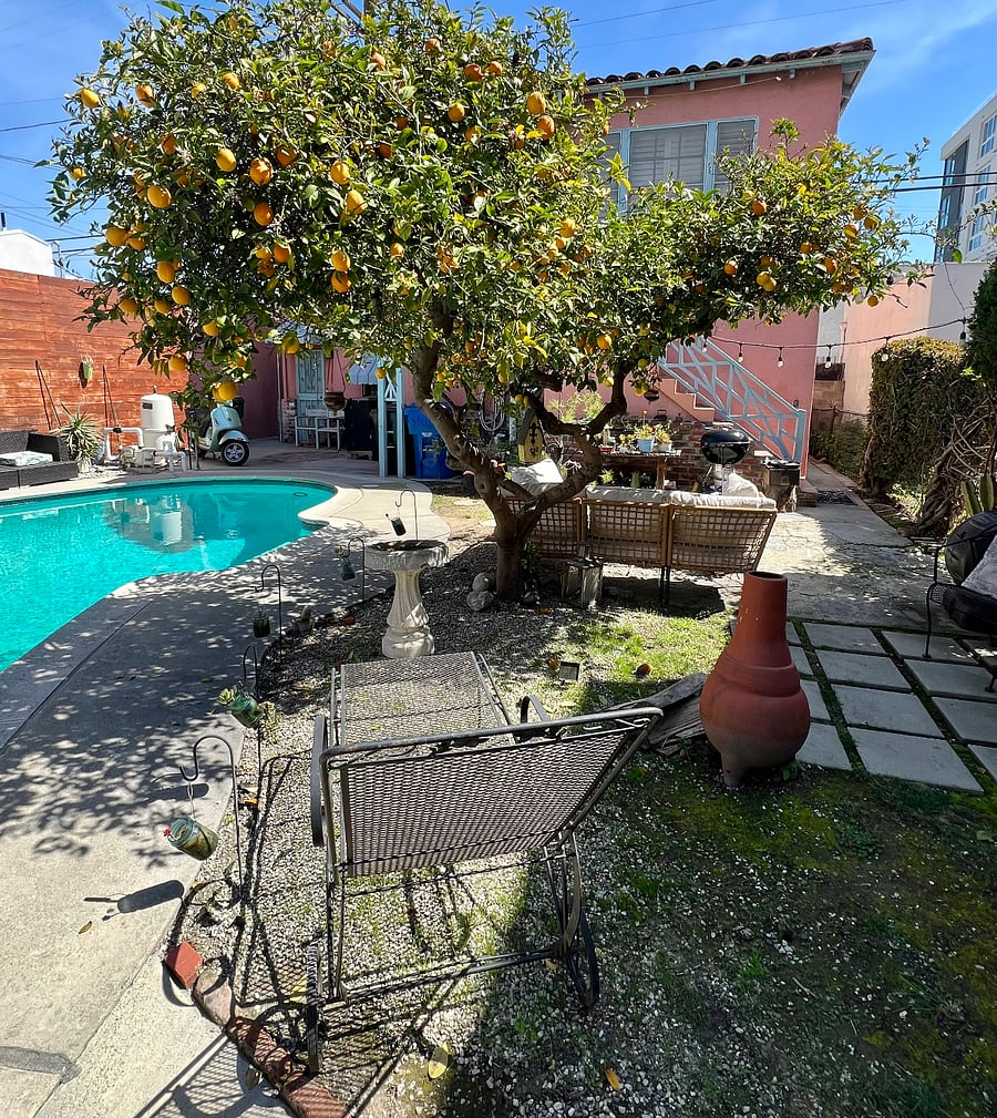 Furnished Finder property 395294_1 photo 16