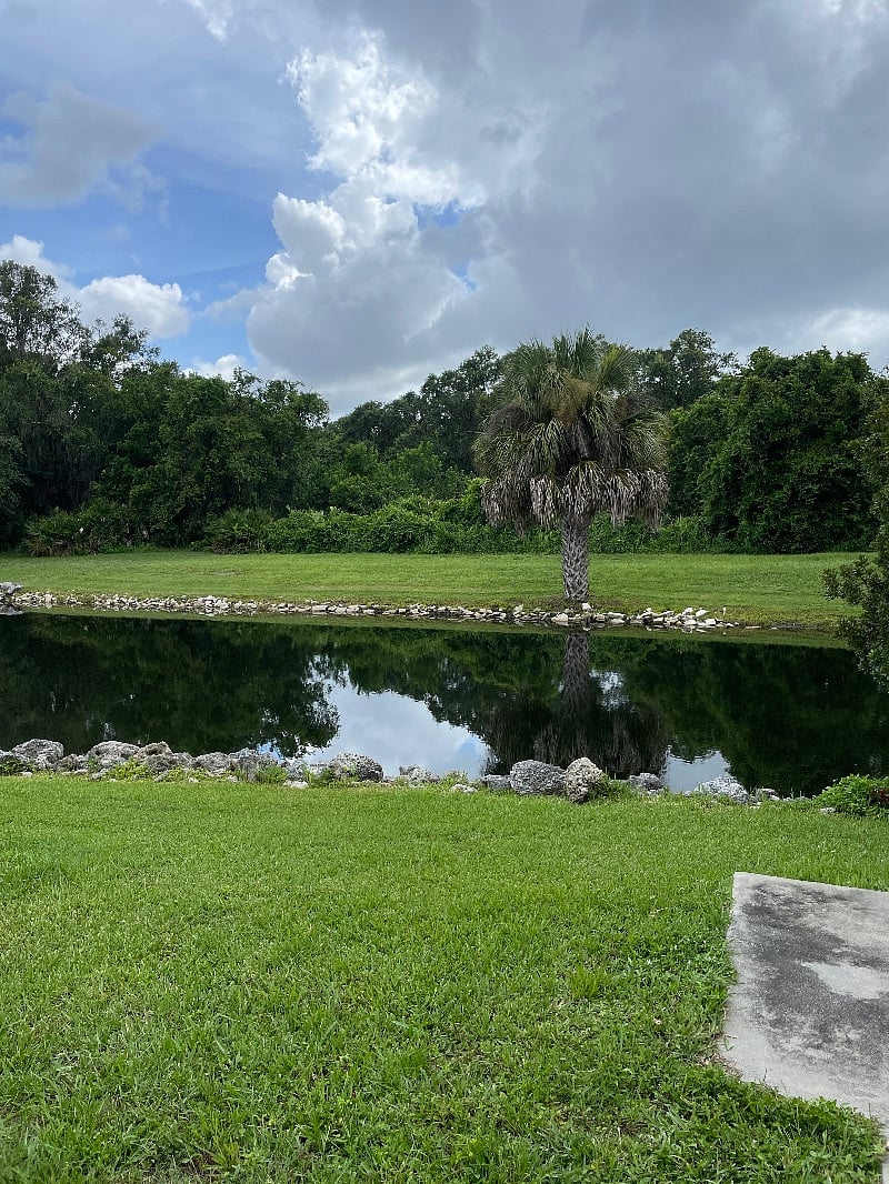 Furnished Finder property 395344_1 photo 7