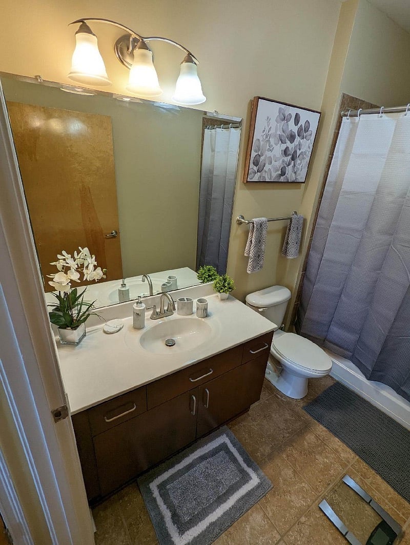 Furnished Finder property 395524_1 photo 5