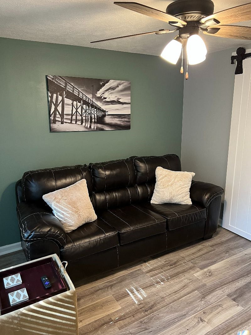 New 3-seater leather couch with pull-out queen bed. Additional pillows in basement for pull-out bed.