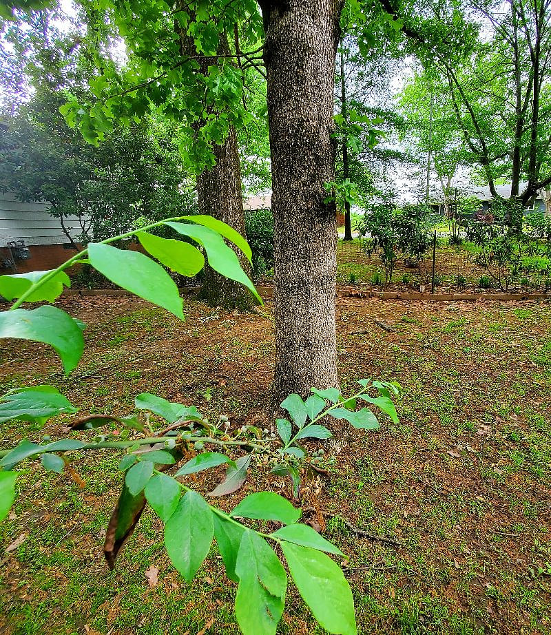 Furnished Finder property 395561_1 photo 22