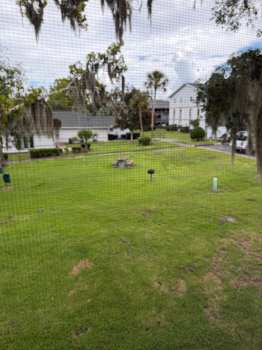 Furnished Finder property 395578_1 photo 33