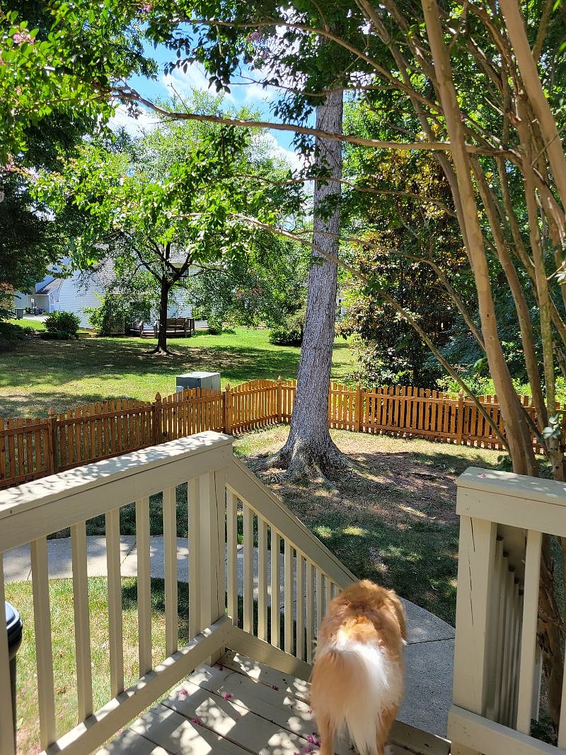Furnished Finder property 395665_1 photo 11