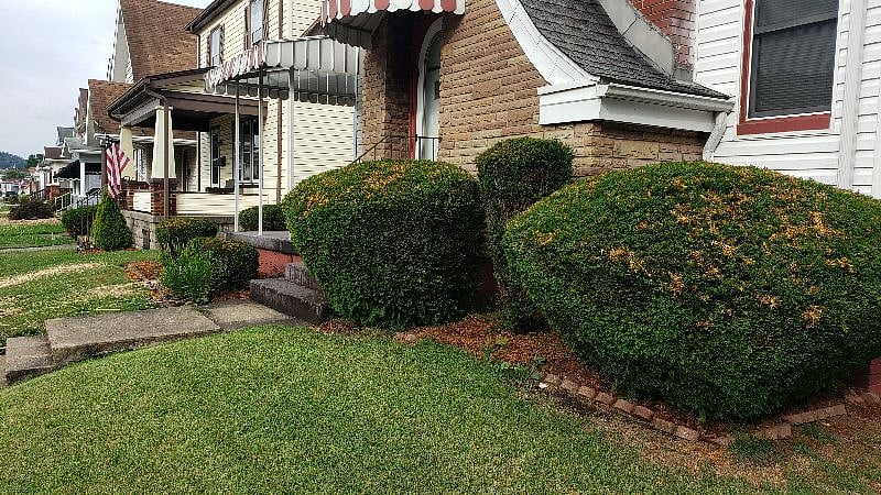 front yard.
