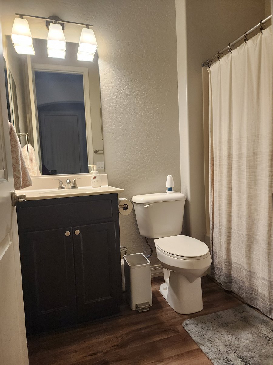 Furnished Finder property 396039_1 photo 15