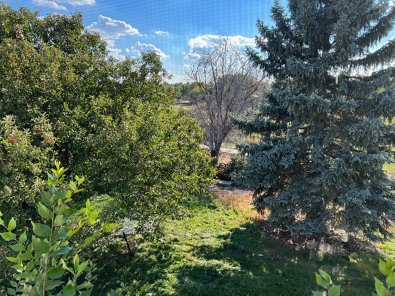 Furnished Finder property 396065_1 photo 21