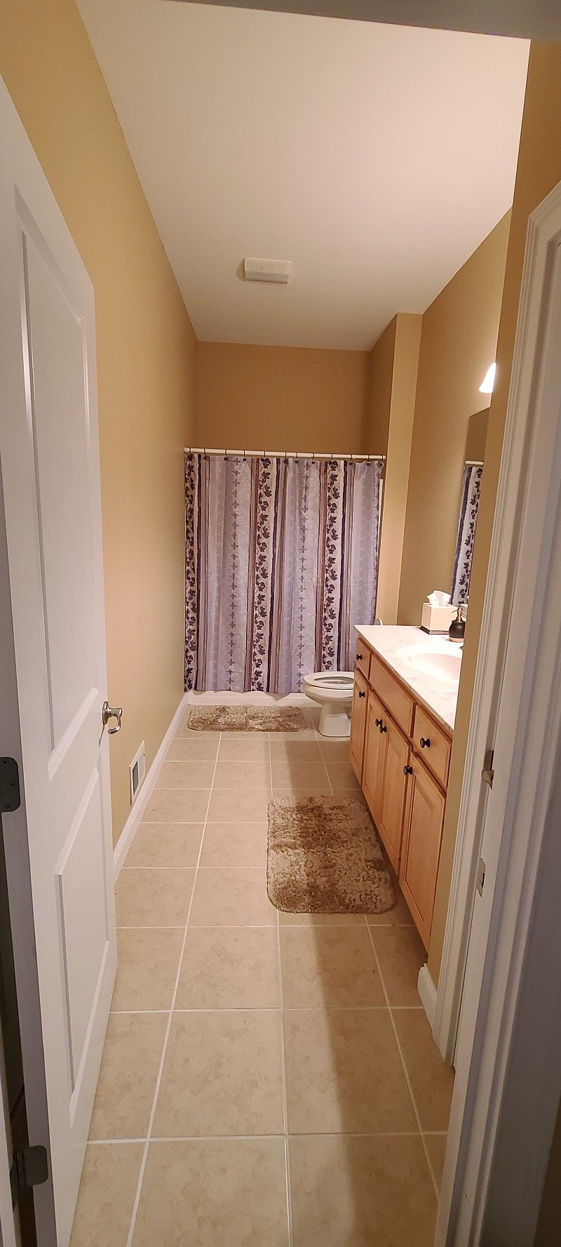 Lower level full bathroom