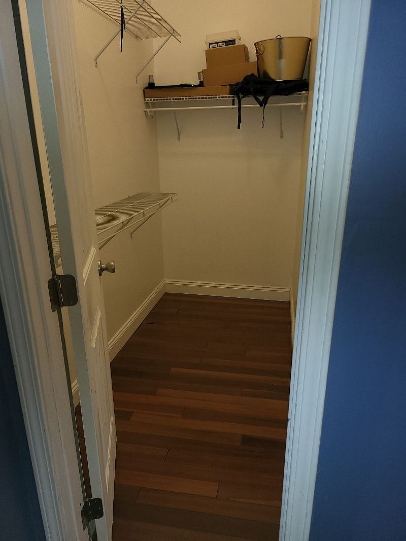 Bedroom #1 Lower level (Blue room closet)