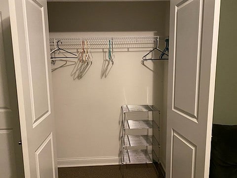 Bedroom #2 Lower Level (Green room closet)