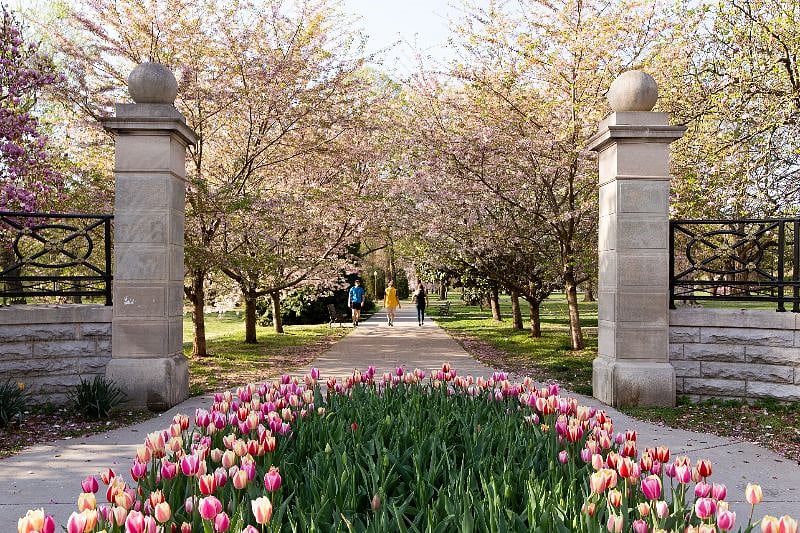 Beautiful Tower Grove Park entrance visible from the condos windows.