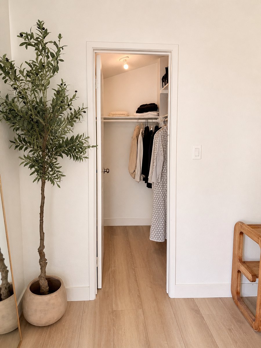 Bedroom 2 walk in closet
