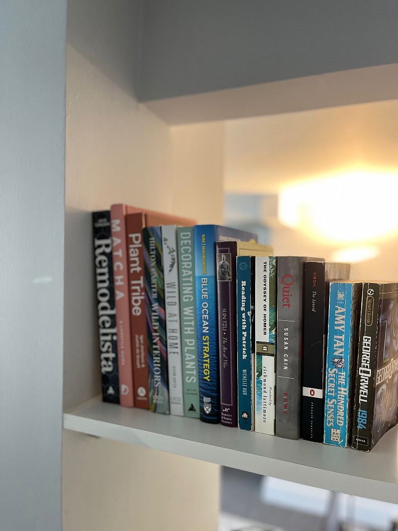 Books for you to peruse!
Extra shelves too.