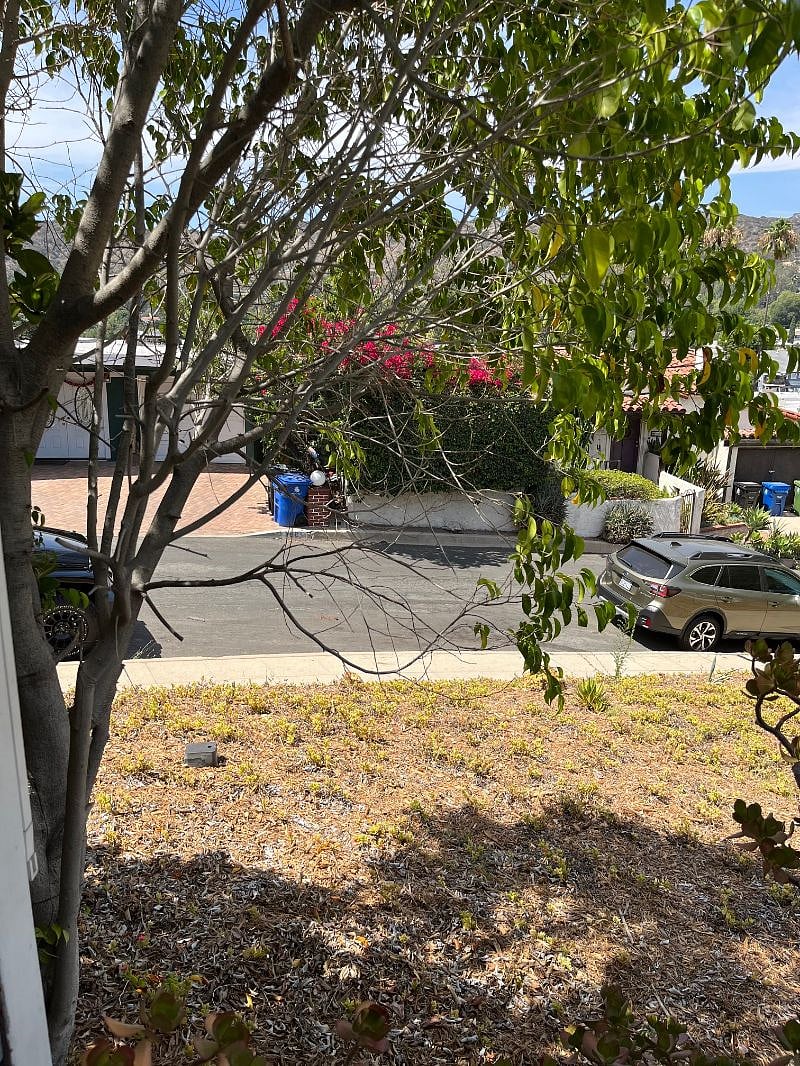 Free Street Parking available in front of the house (no street sweeping days)