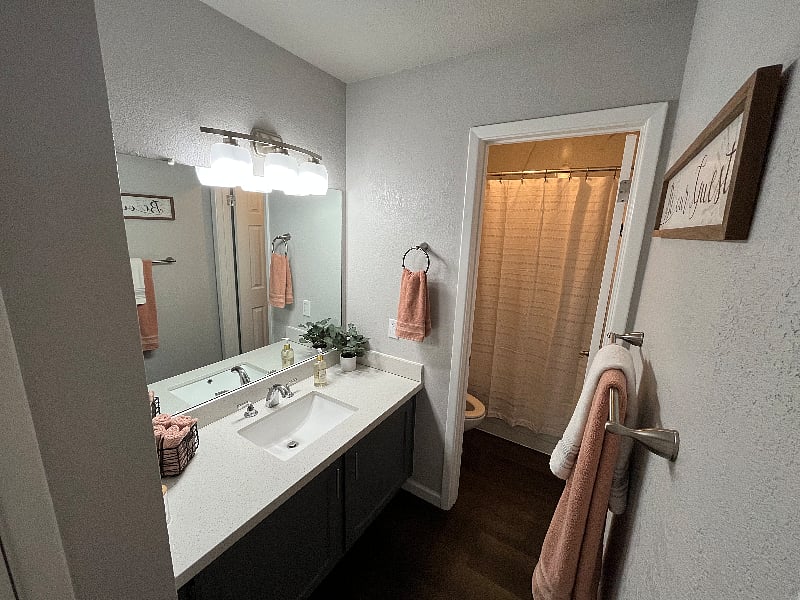 Guest bathroom