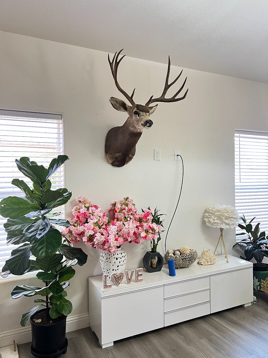Furnished Finder property 397073_1 photo 9