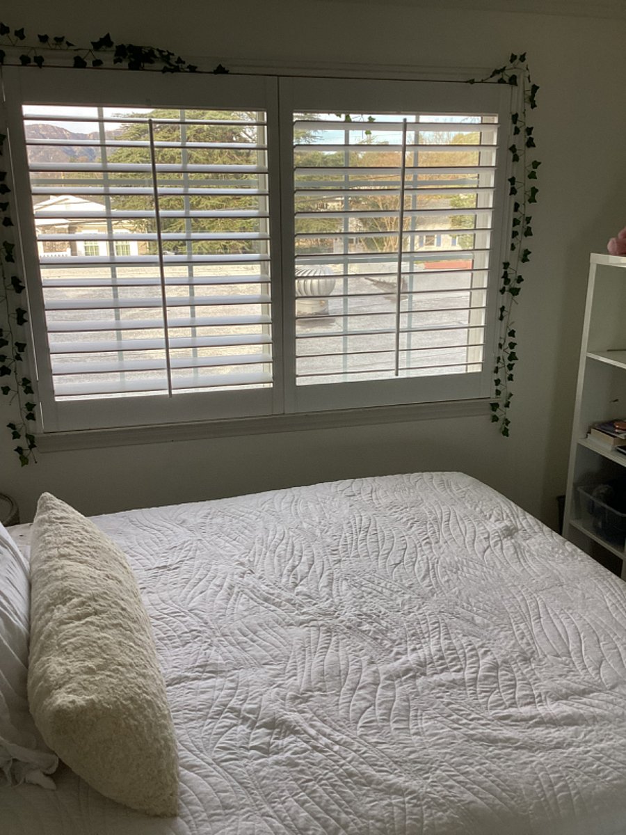 Furnished Finder property 397205_2 photo 6