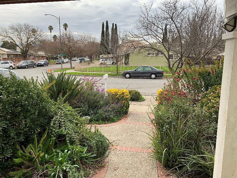 Looking at the street from the front door entrance.