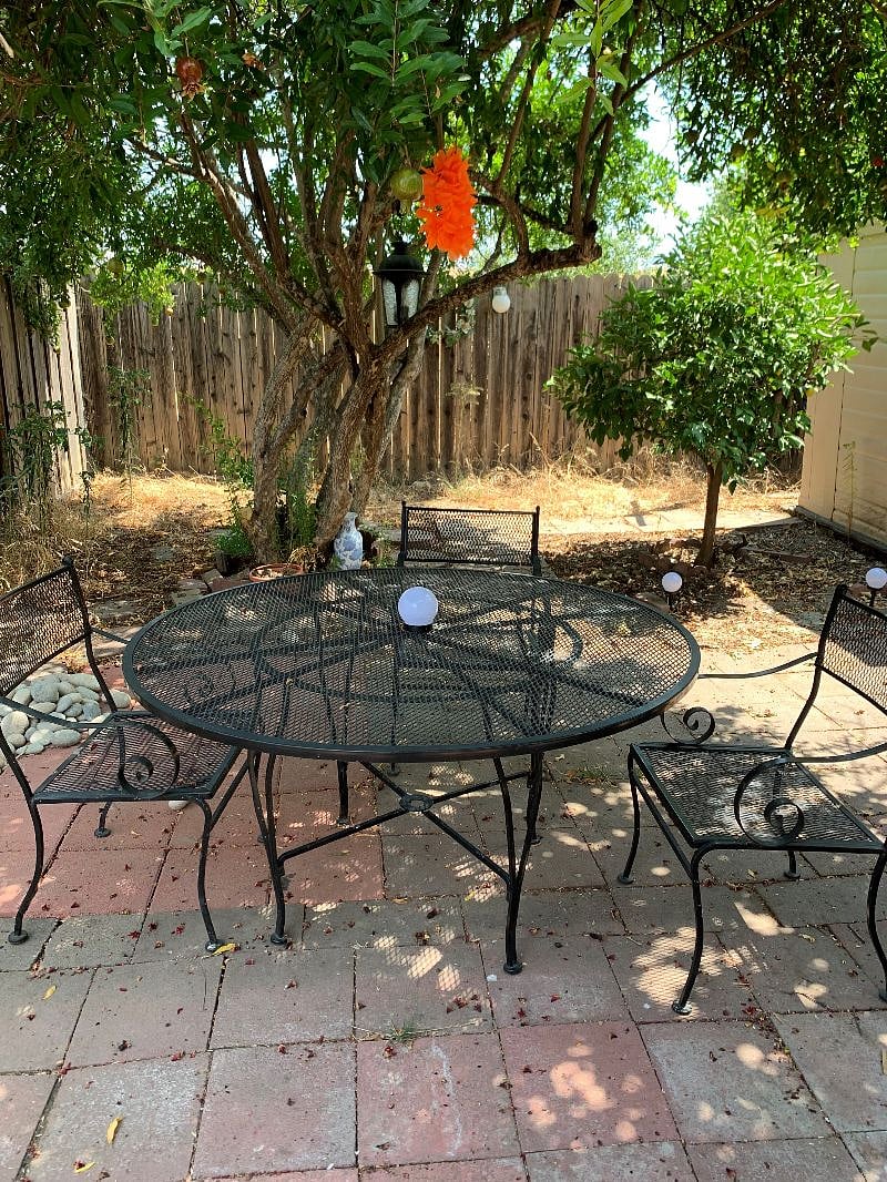 Backyard table under a Pomegranate and Lemon trees