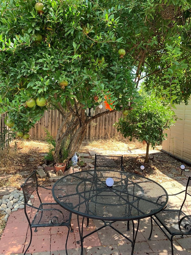 Furnished Finder property 397206_1 photo 46