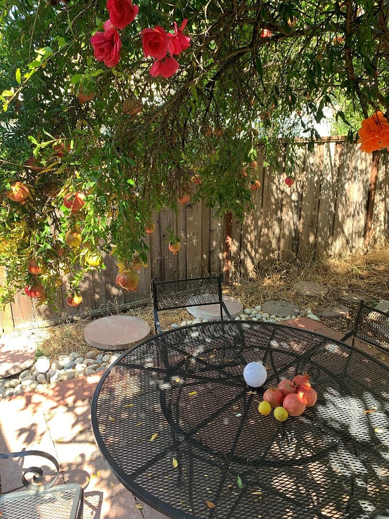 Furnished Finder property 397206_1 photo 47