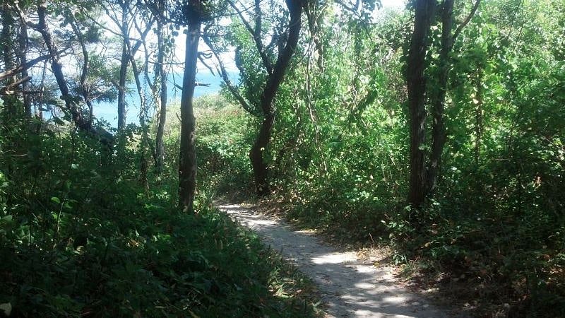 Path to private beach