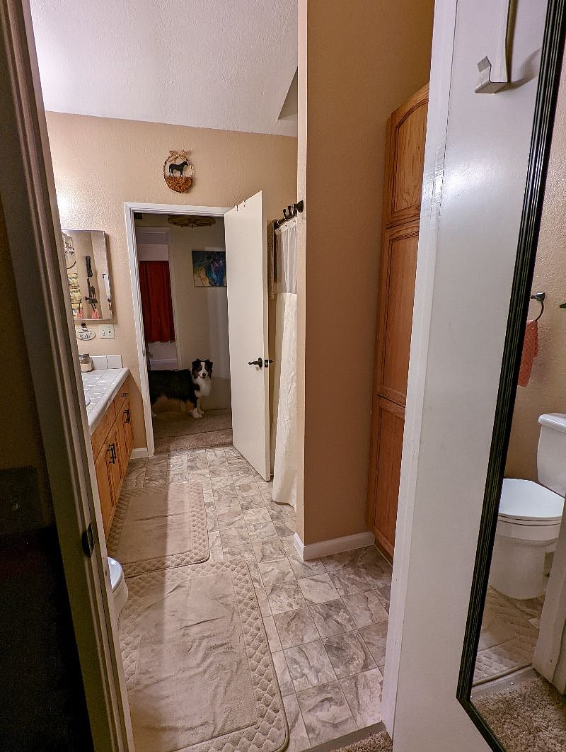 Furnished Finder property 397565_1 photo 8