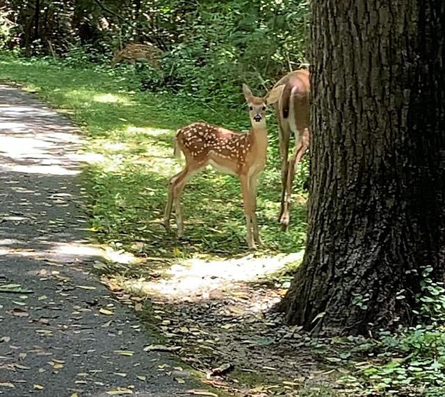 Mom and kid, Greenway Trail