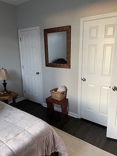 Guest bedroom with view of both closets