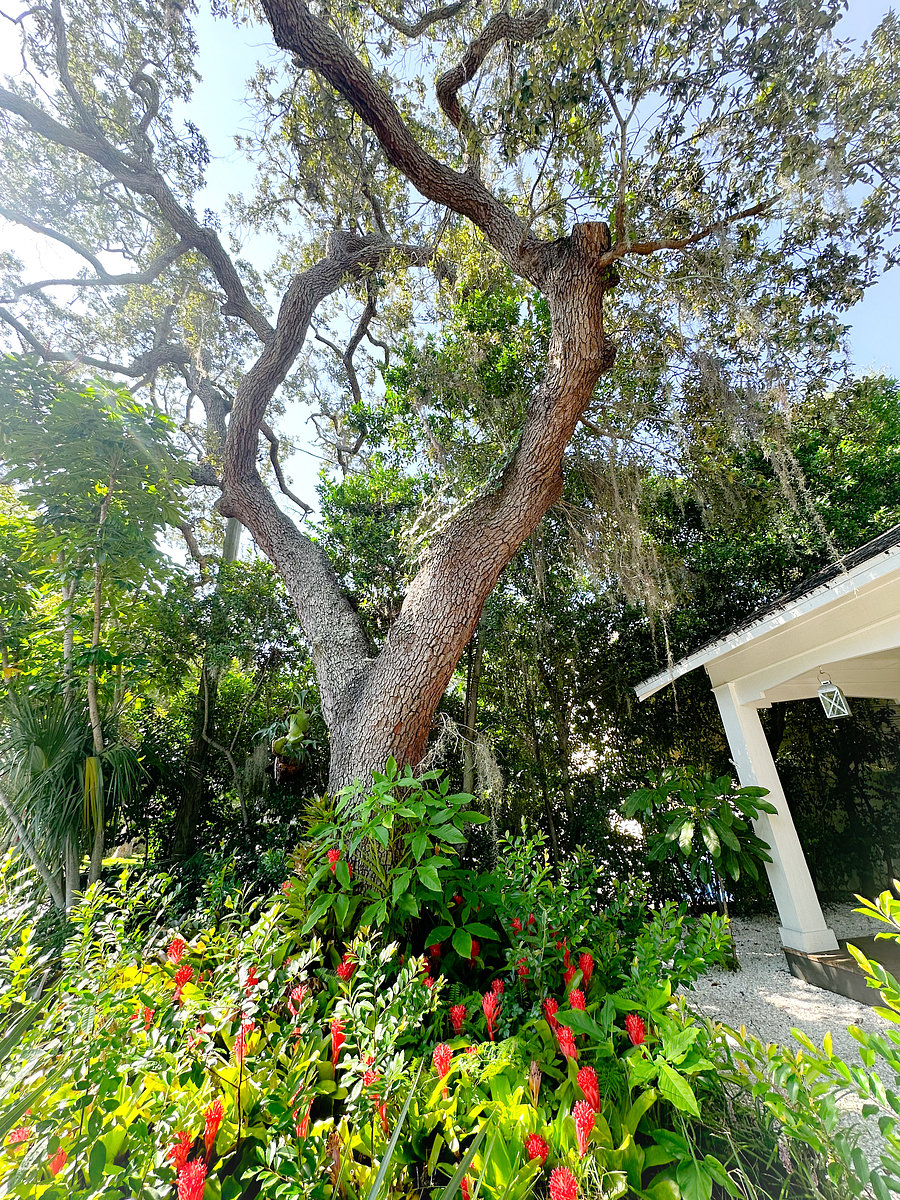 Furnished Finder property 397785_1 photo 22