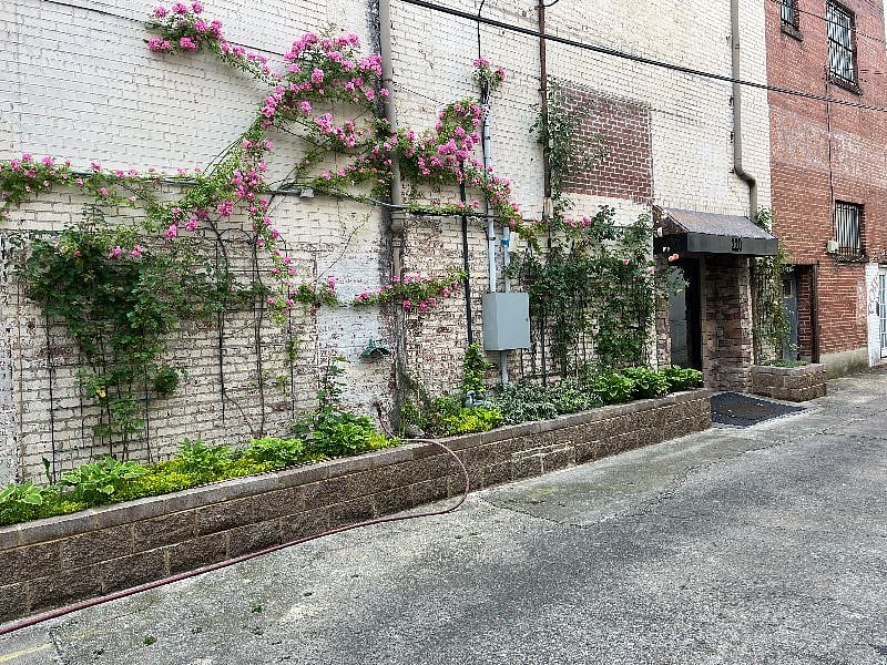 Your walkway from the covered parking area features lush greenery and climbing roses.