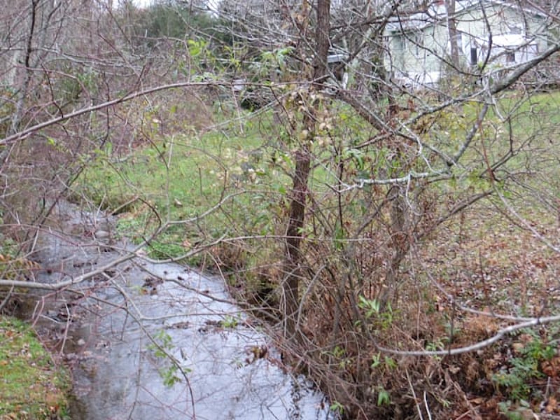 Beaver Dam Creek runs beside the yard