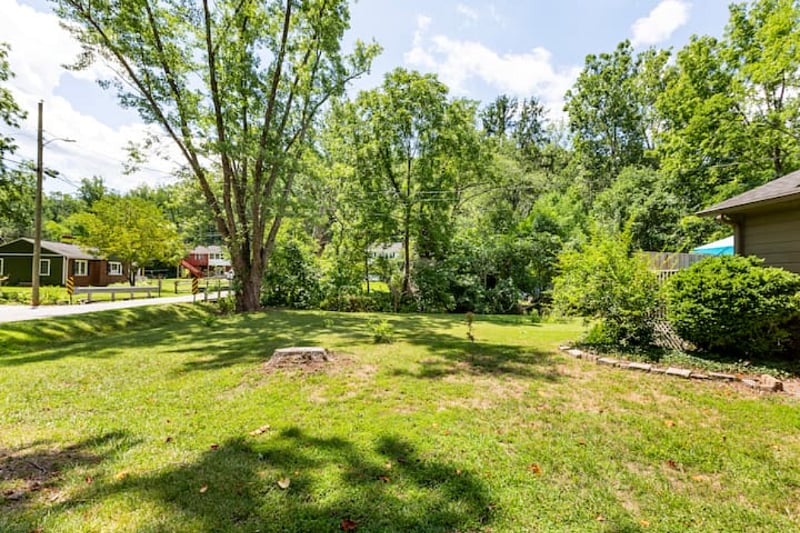 back yard