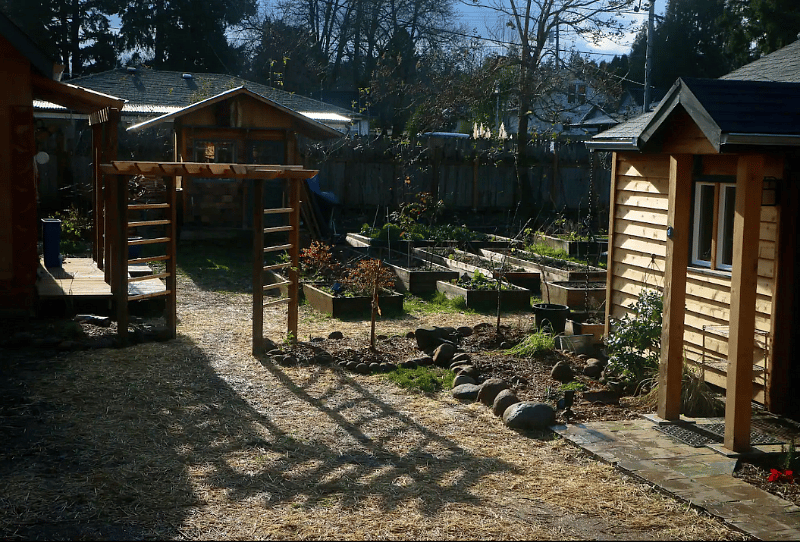 view of the garden from front door