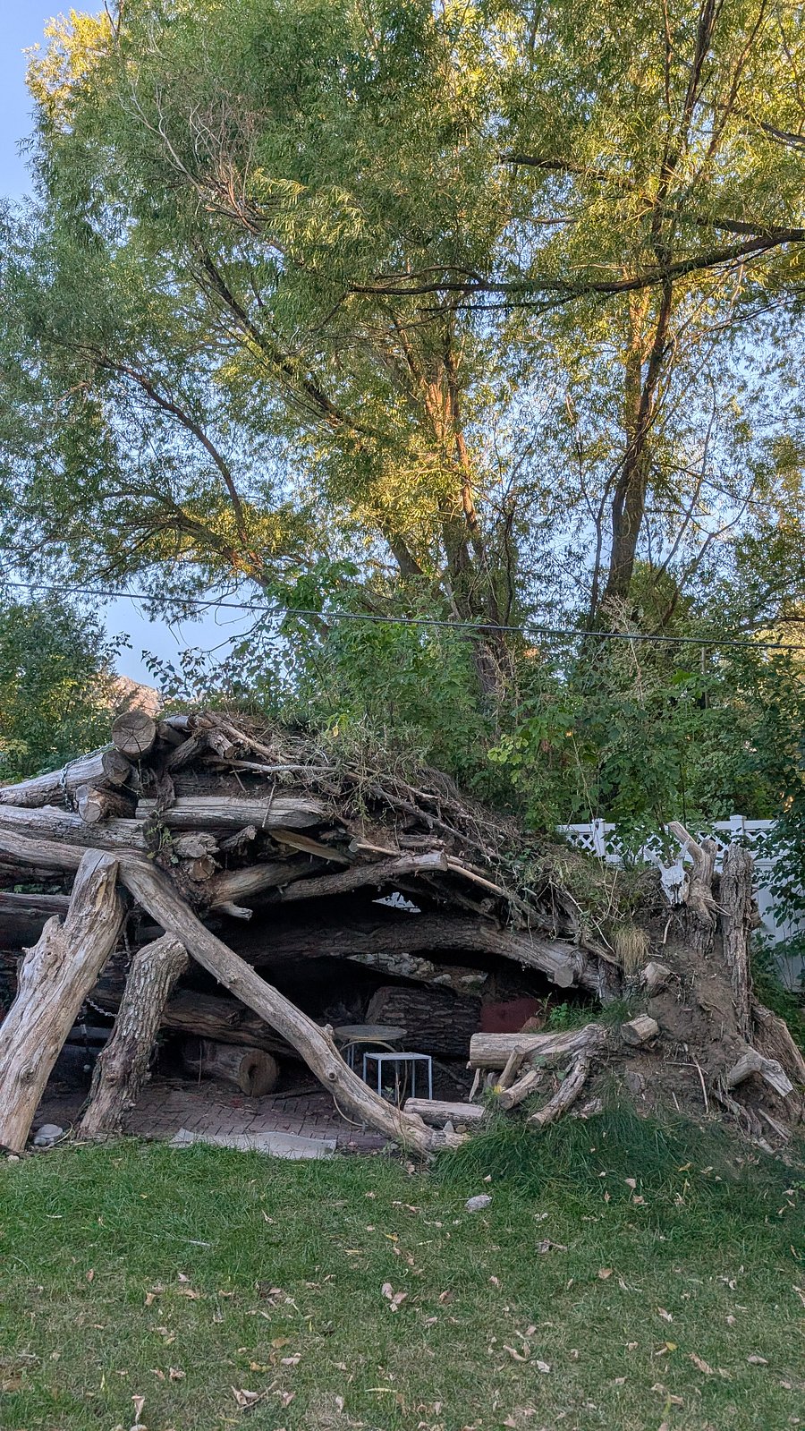 Fallen tree fort