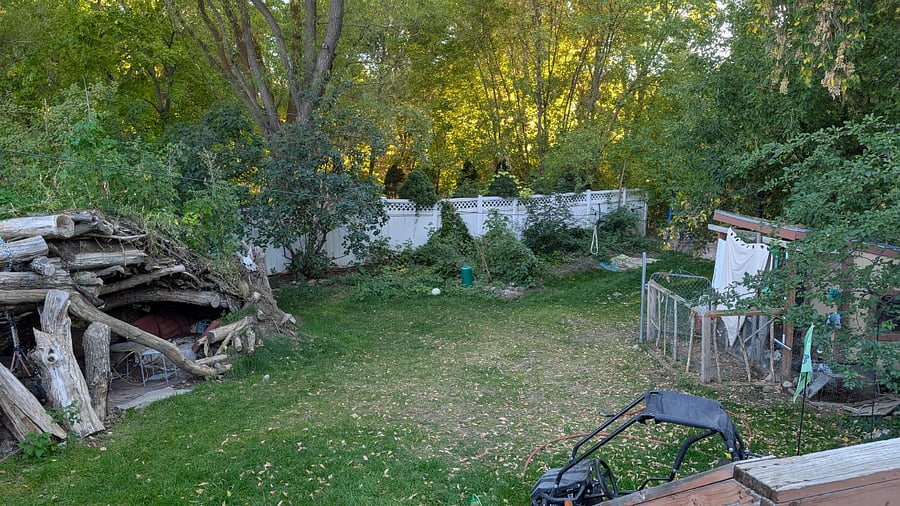 Back Yard
