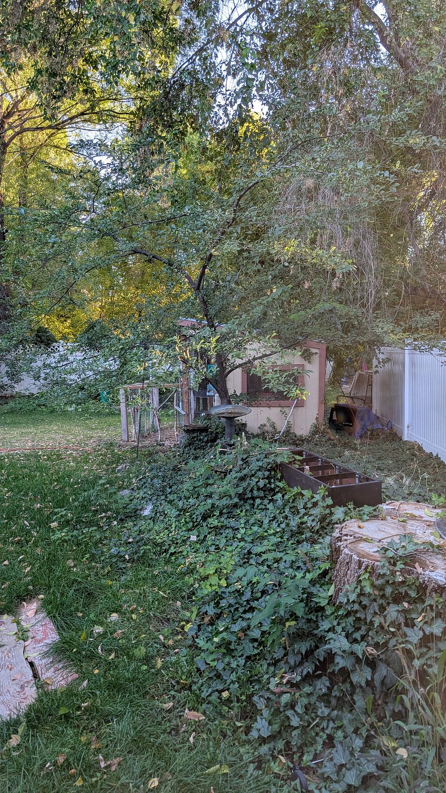 Bunny House