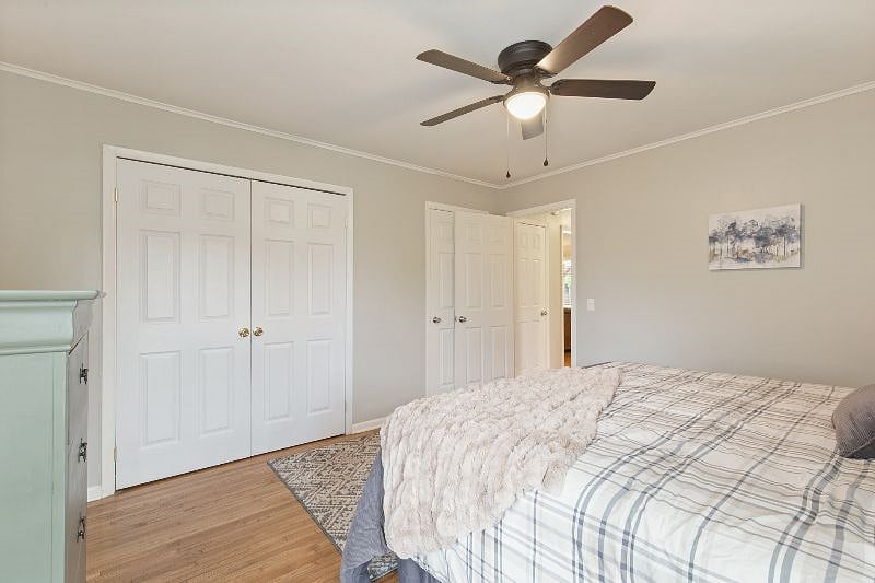 Furnished Finder property 398220_1 photo 19