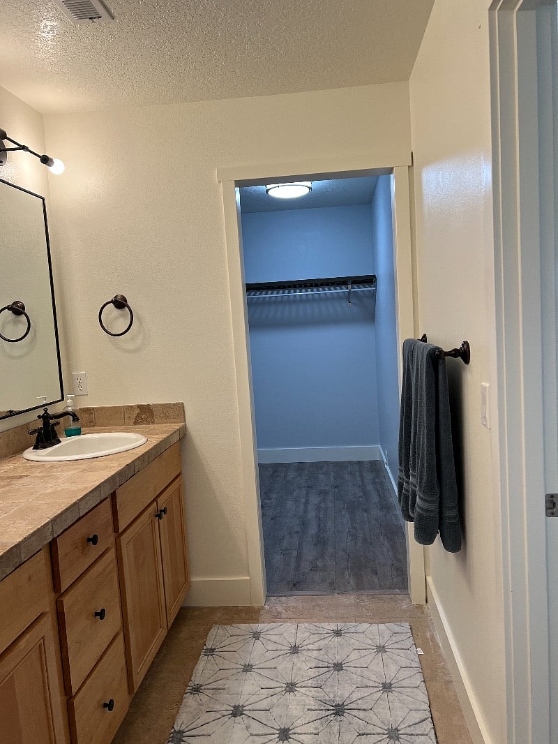 Primary bathroom and walk-in closet #1