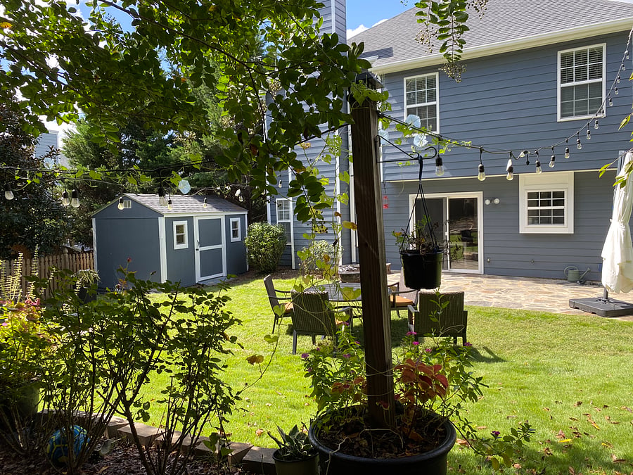Furnished Finder property 398436_1 photo 16