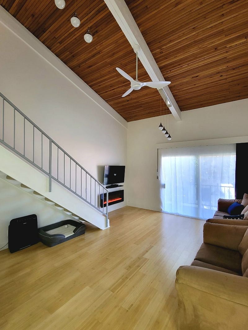Living room / Kitchen