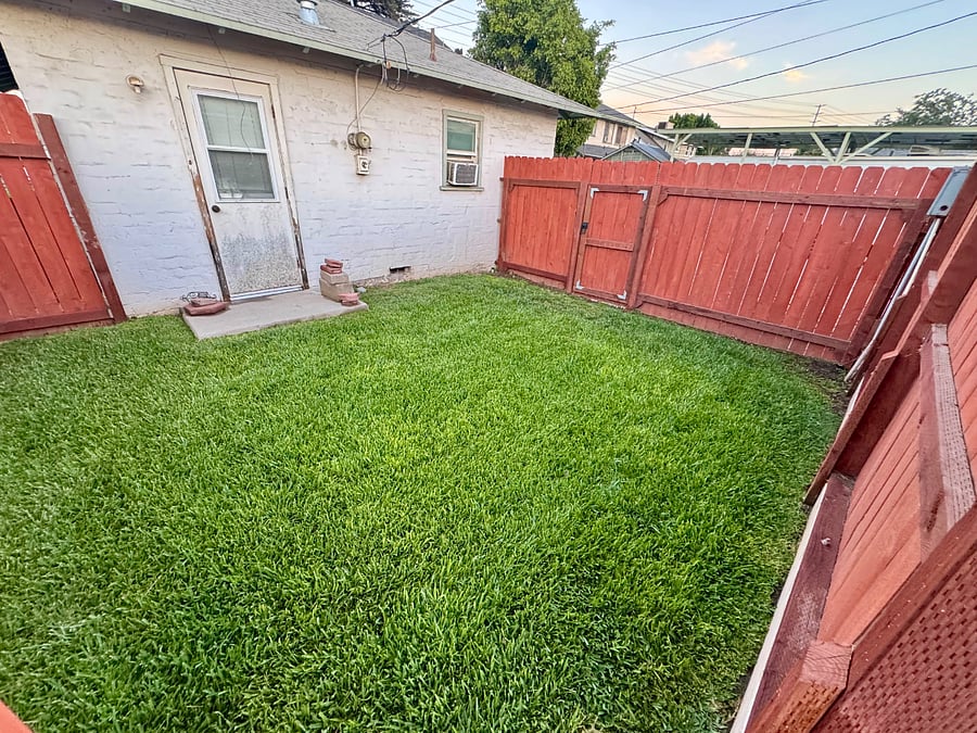 Private back yard